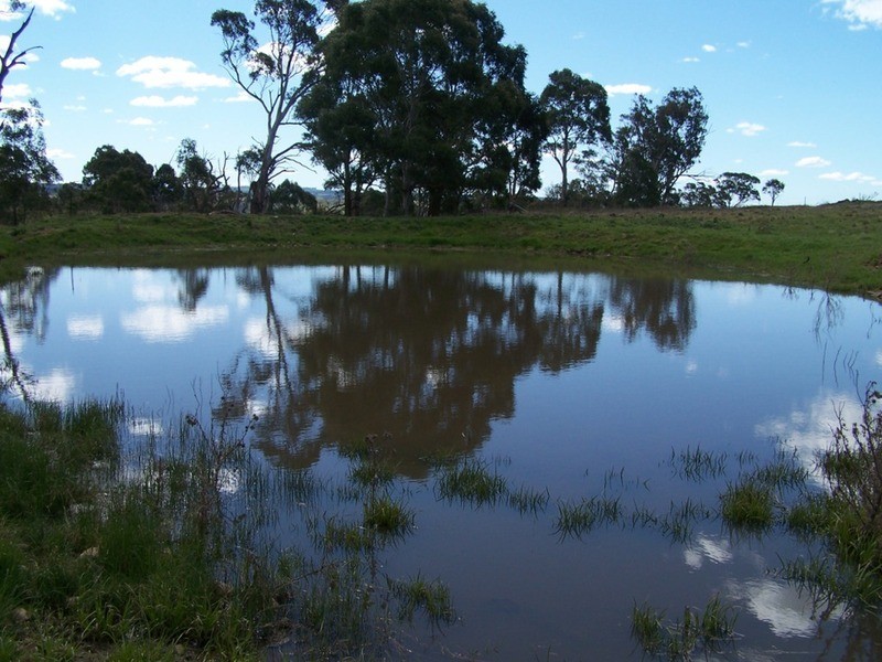425 Chapmans Lane, Chatsbury NSW 2580