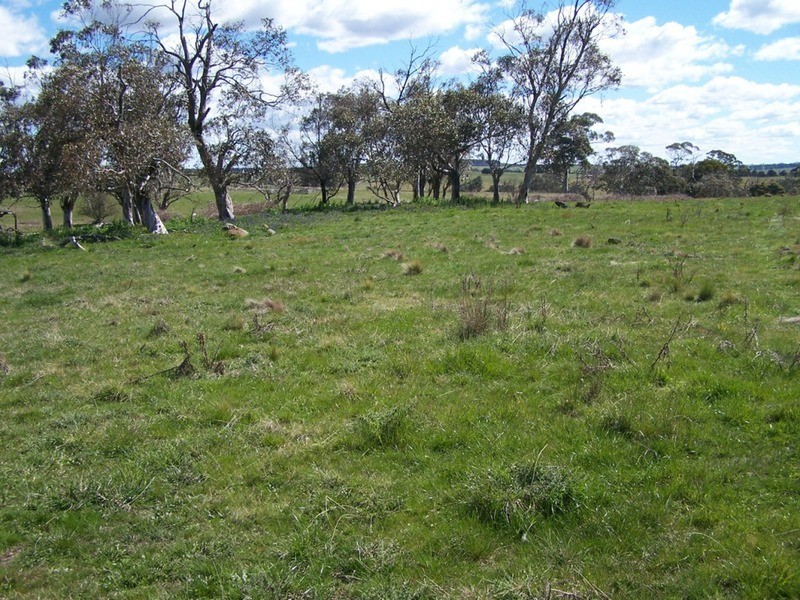 425 Chapmans Lane, Chatsbury NSW 2580