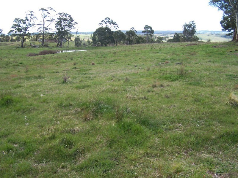 425 Chapmans Lane, Chatsbury NSW 2580