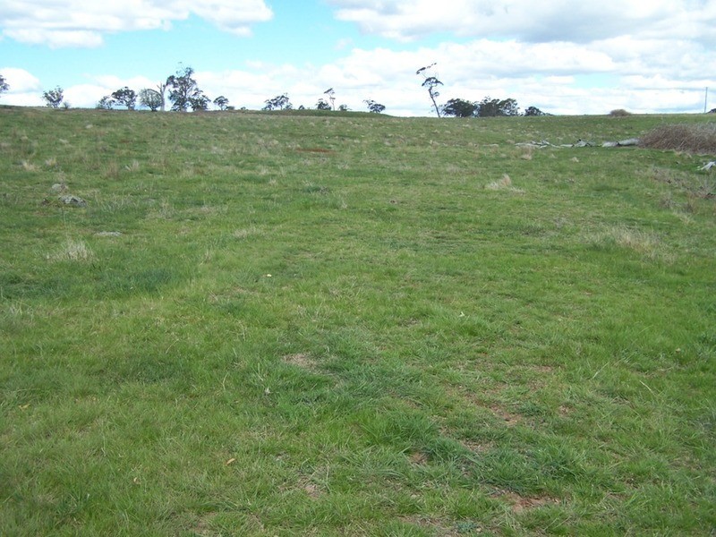 425 Chapmans Lane, Chatsbury NSW 2580