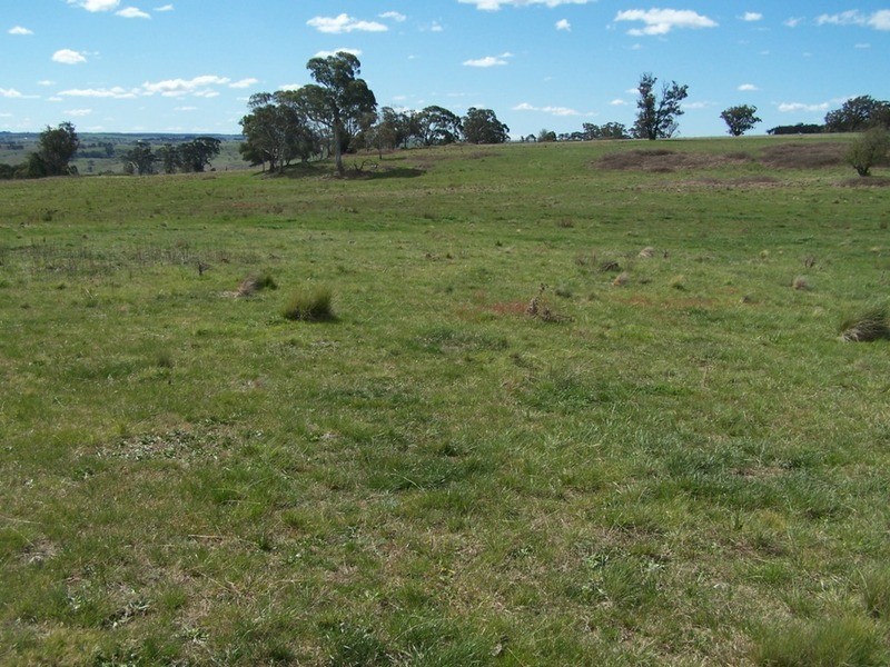 425 Chapmans Lane, Chatsbury NSW 2580