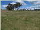 425 Chapmans Lane, Chatsbury NSW 2580