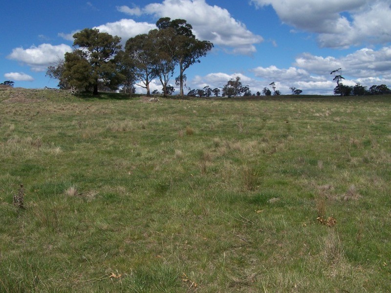 425 Chapmans Lane, Chatsbury NSW 2580