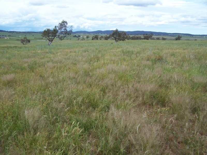 165 Greta Road, Goulburn NSW 2580