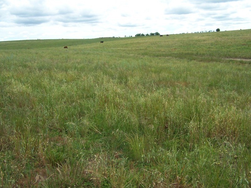 165 Greta Road, Goulburn NSW 2580