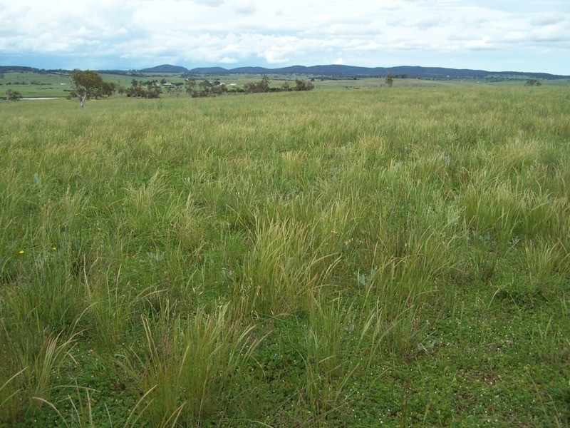 165 Greta Road, Goulburn NSW 2580