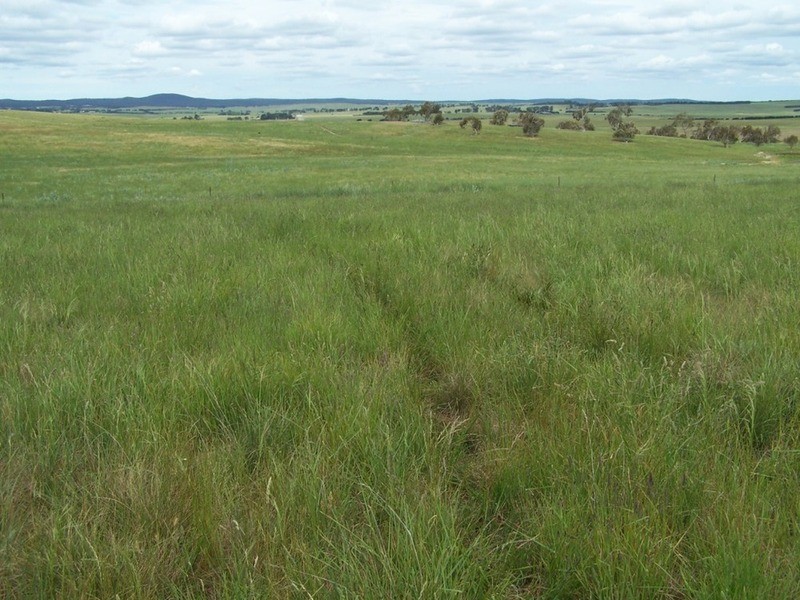 165 Greta Road, Goulburn NSW 2580