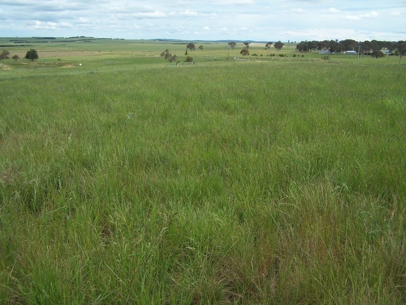 165 Greta Road, Goulburn NSW 2580