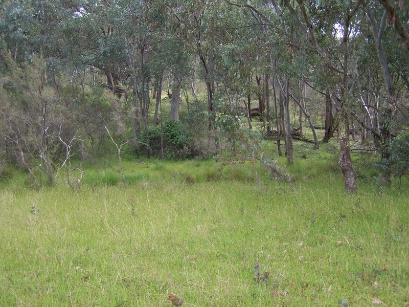 70 Alps Road, Bigga NSW 2583