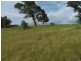 70 Alps Road, Bigga NSW 2583
