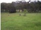 70 Alps Road, Bigga NSW 2583
