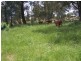 70 Alps Road, Bigga NSW 2583