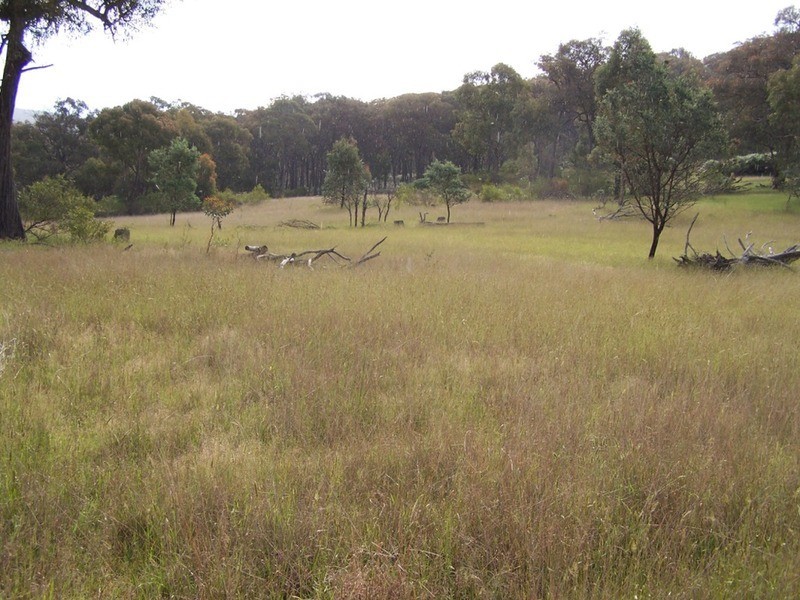 70 Alps Road, Bigga NSW 2583