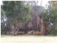 70 Alps Road, Bigga NSW 2583