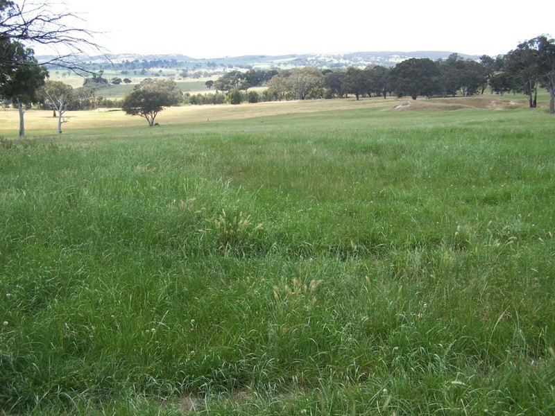 “Wooloowarre” 199 Pucketts Lane, Gunning NSW 2581