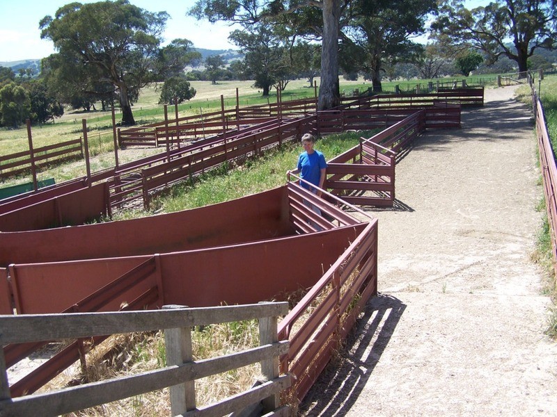 “Wooloowarre” 199 Pucketts Lane, Gunning NSW 2581