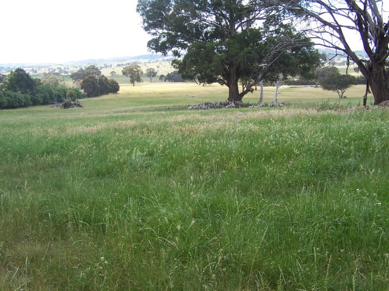 “Wooloowarre” 199 Pucketts Lane, Gunning NSW 2581