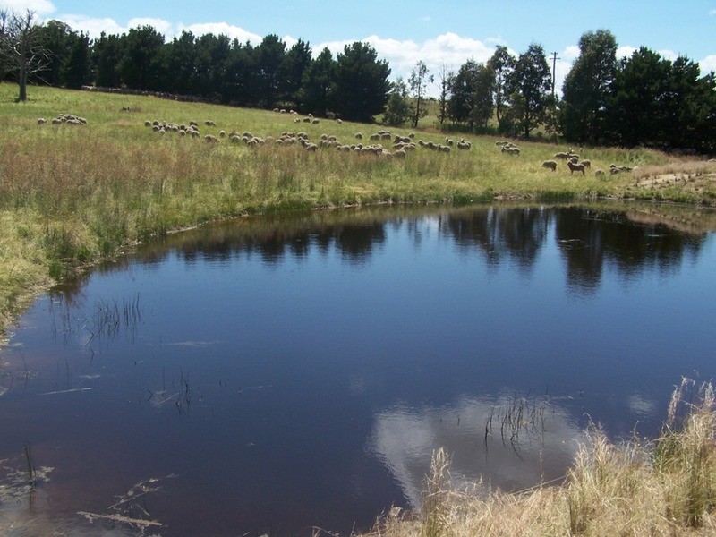 “Wooloowarre” 199 Pucketts Lane, Gunning NSW 2581