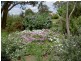 “Wooloowarre” 199 Pucketts Lane, Gunning NSW 2581