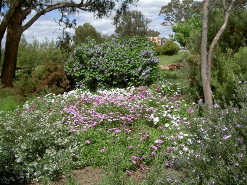 “Wooloowarre” 199 Pucketts Lane, Gunning NSW 2581