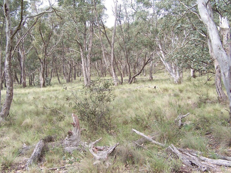 370 Rhyanna Road, Middle Arm NSW 2580