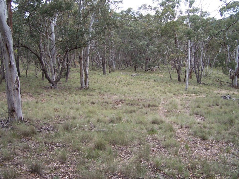 370 Rhyanna Road, Middle Arm NSW 2580