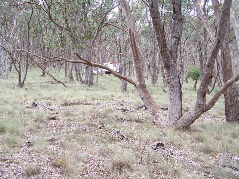 370 Rhyanna Road, Middle Arm NSW 2580