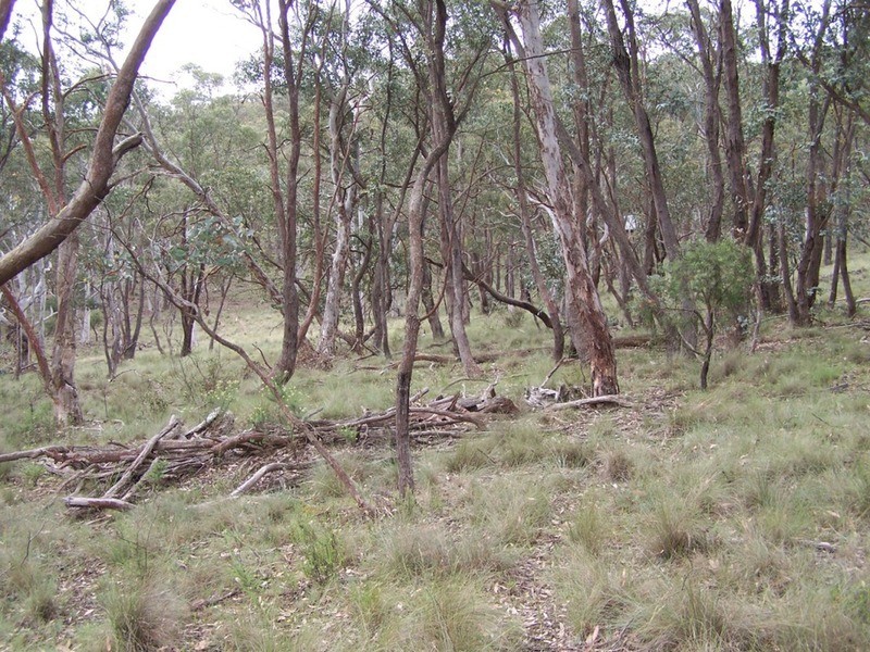 370 Rhyanna Road, Middle Arm NSW 2580