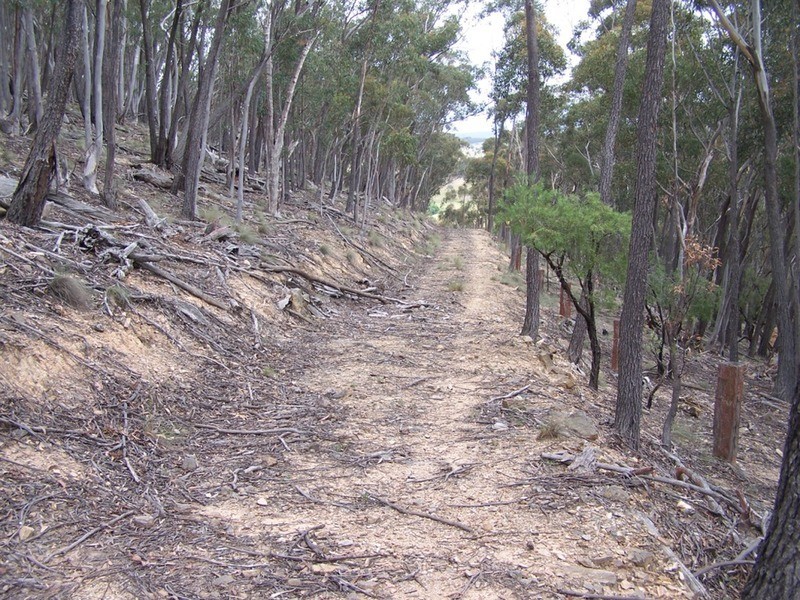 370 Rhyanna Road, Middle Arm NSW 2580