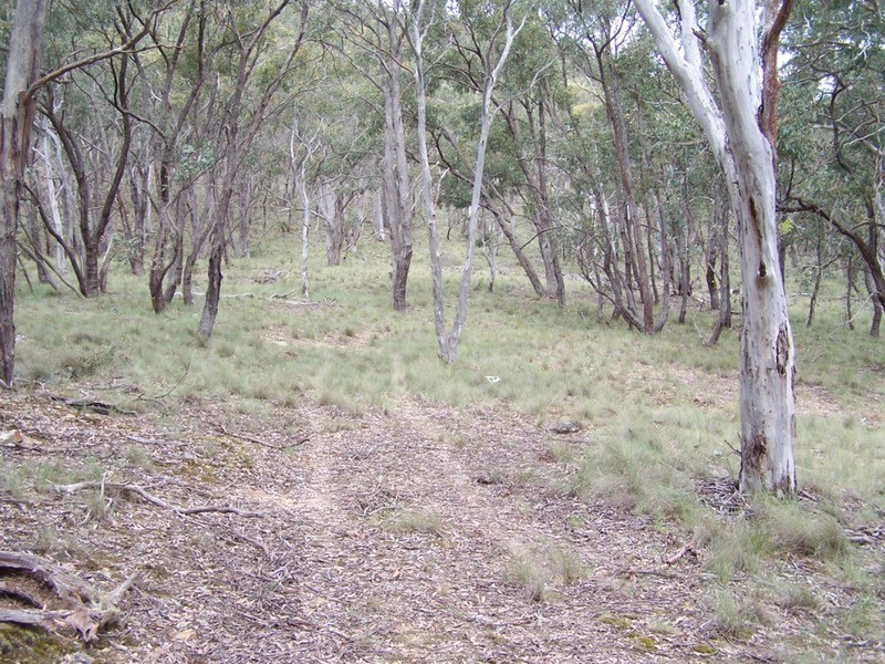 370 Rhyanna Road, Middle Arm NSW 2580