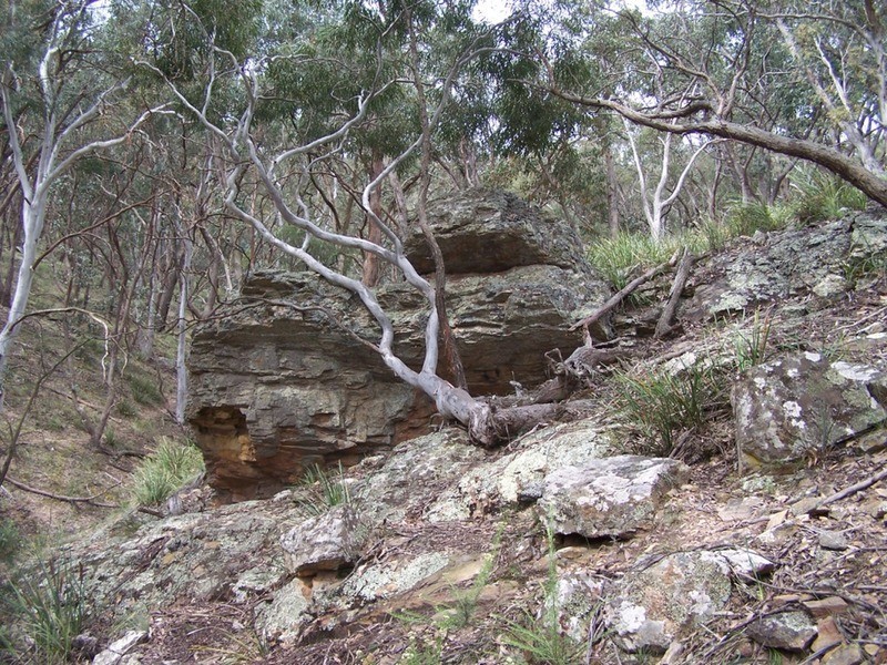 370 Rhyanna Road, Middle Arm NSW 2580