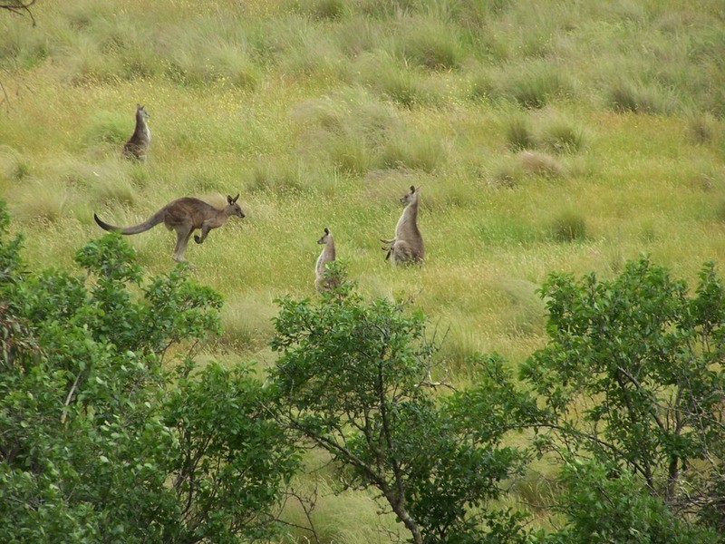 370 Rhyanna Road, Middle Arm NSW 2580