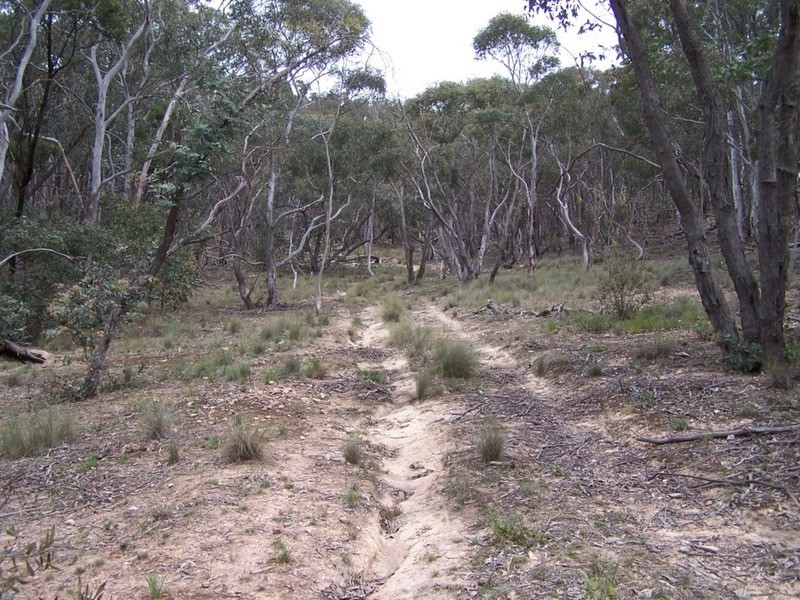 370 Rhyanna Road, Middle Arm NSW 2580