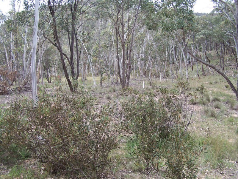 370 Rhyanna Road, Middle Arm NSW 2580