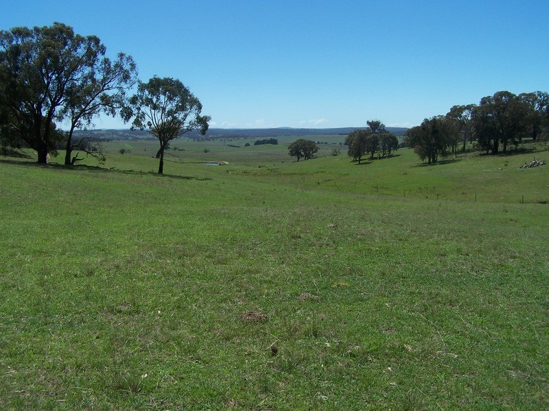 288 Cockatoo Road, Taralga NSW 2580