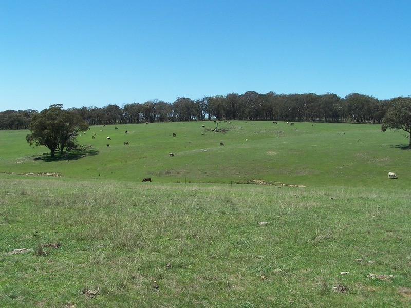 288 Cockatoo Road, Taralga NSW 2580