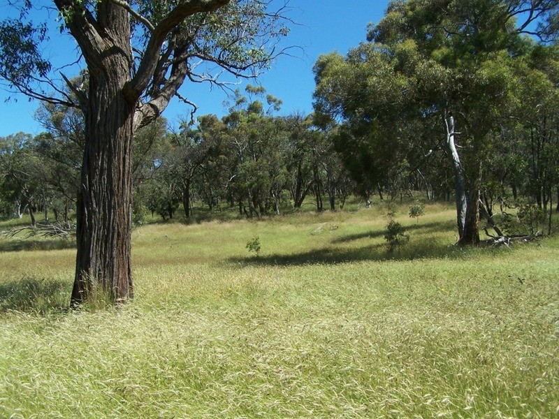 288 Cockatoo Road, Taralga NSW 2580