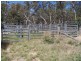 288 Cockatoo Road, Taralga NSW 2580