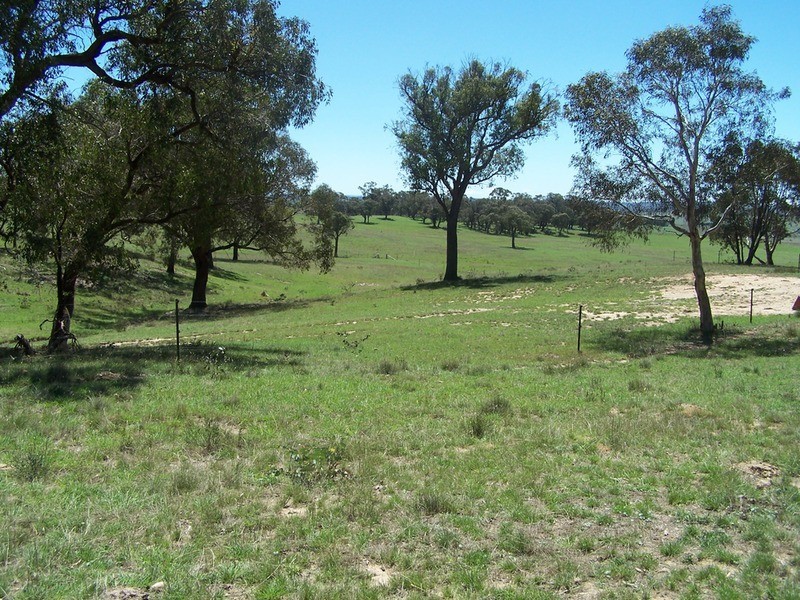 288 Cockatoo Road, Taralga NSW 2580