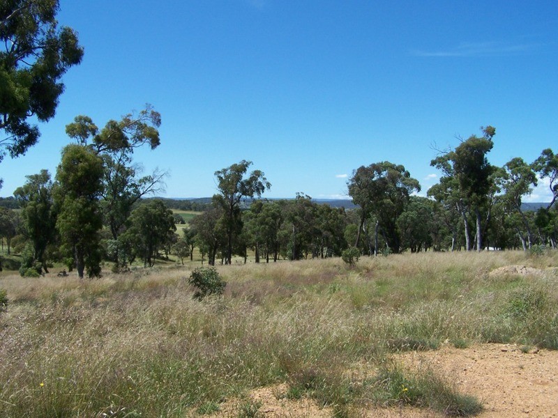 288 Cockatoo Road, Taralga NSW 2580