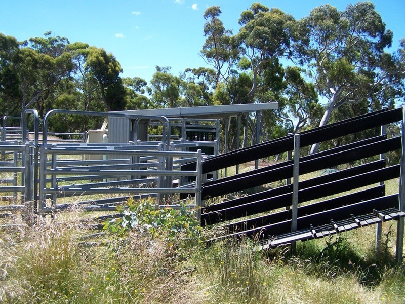 288 Cockatoo Road, Taralga NSW 2580