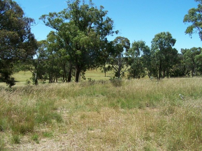 288 Cockatoo Road, Taralga NSW 2580