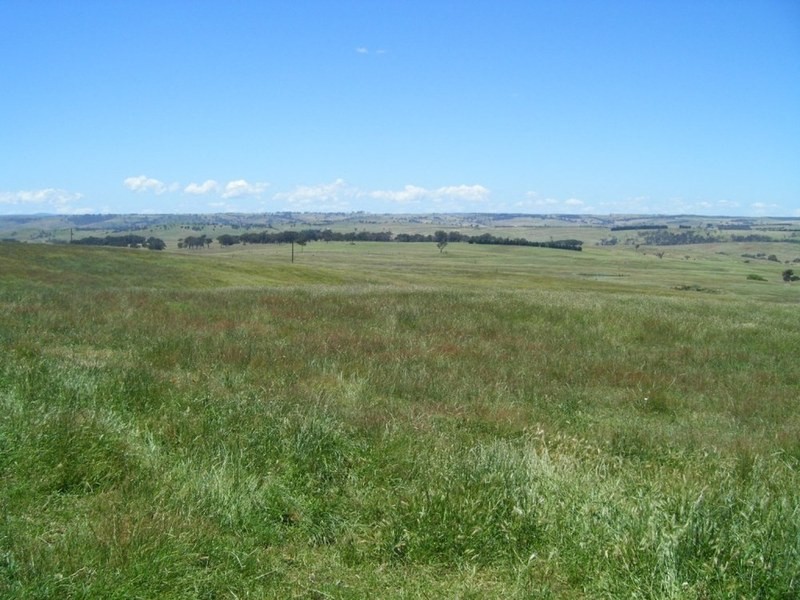 “Monks Creek” Fullerton Road, Laggan NSW 2583