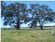 “Monks Creek” Fullerton Road, Laggan NSW 2583