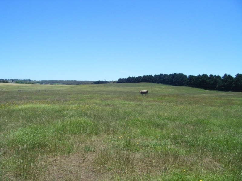 “Monks Creek” Fullerton Road, Laggan NSW 2583