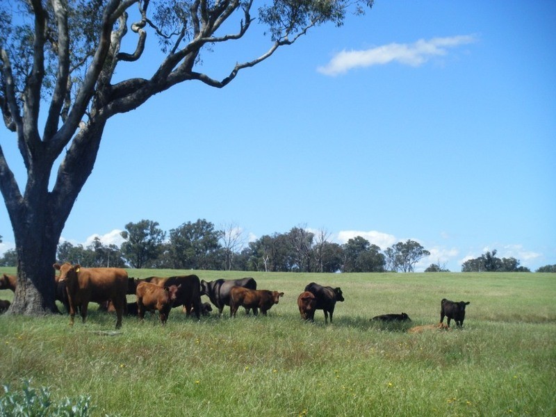 “Monks Creek” Fullerton Road, Laggan NSW 2583