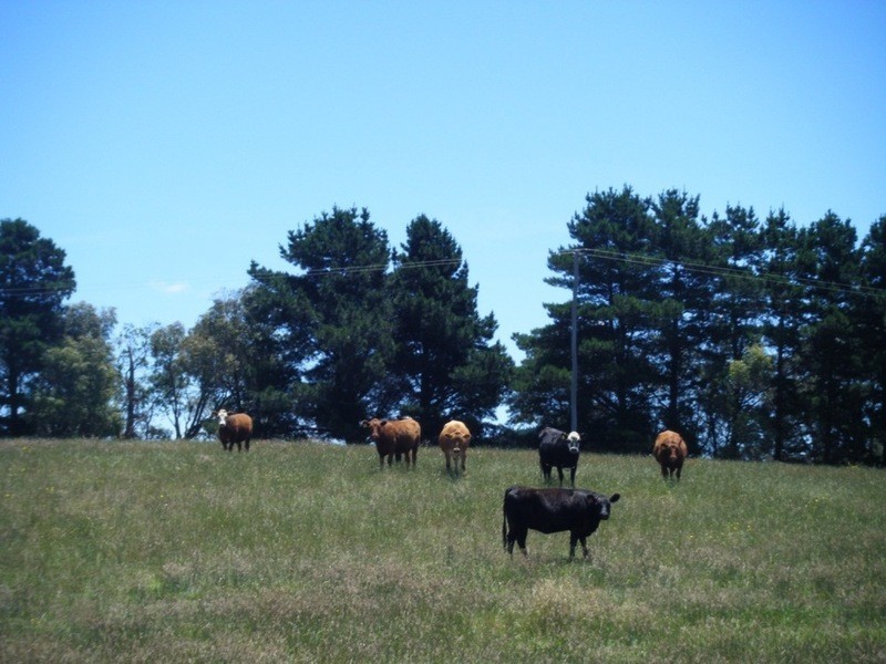 “Monks Creek” Fullerton Road, Laggan NSW 2583