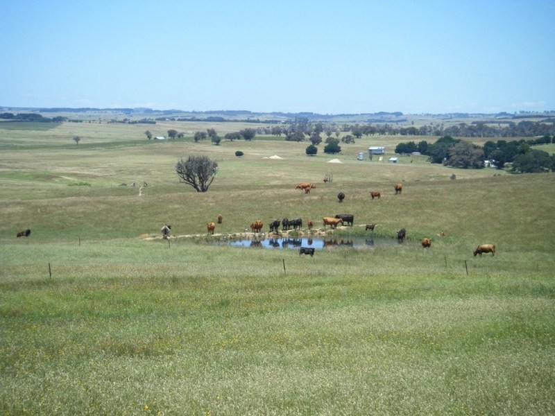 “Monks Creek” Fullerton Road, Laggan NSW 2583