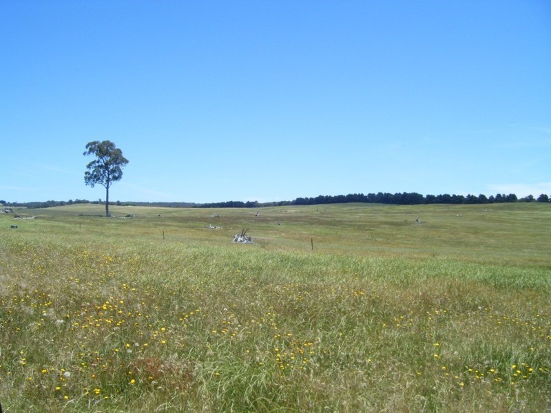 “Monks Creek” Fullerton Road, Laggan NSW 2583
