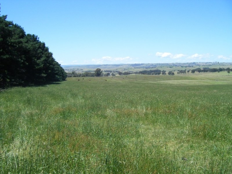 “Monks Creek” Fullerton Road, Laggan NSW 2583